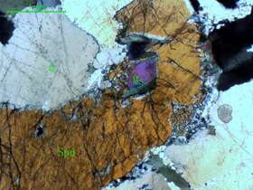 含锂辉石斜长花岗伟晶岩  