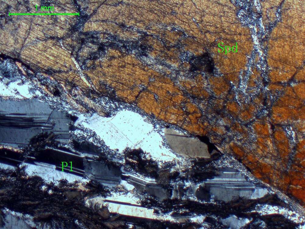 条带状含锂辉石斜长花岗伟晶岩