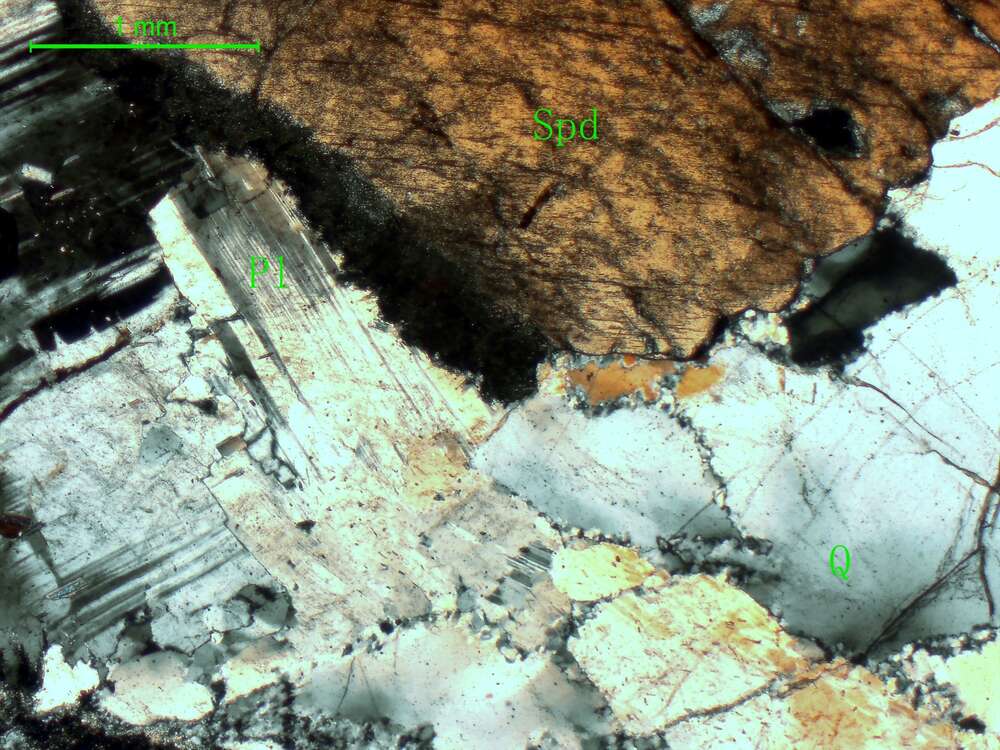 含锂辉石斜长花岗伟晶岩   