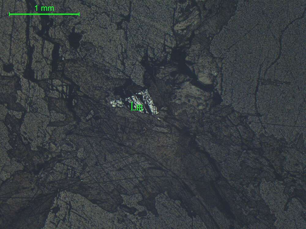 褐铁矿白钛石黄铁矿   