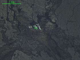 褐铁矿白钛石黄铁矿   