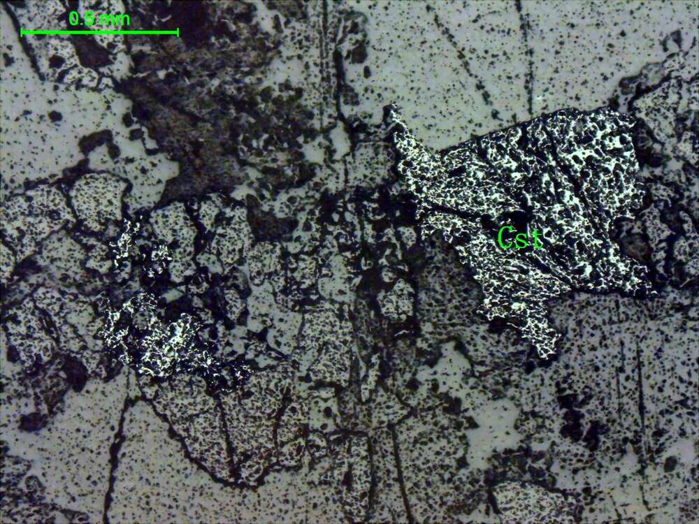 铌钽铁矿、锡石  