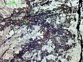 铌钽铁矿、石墨     