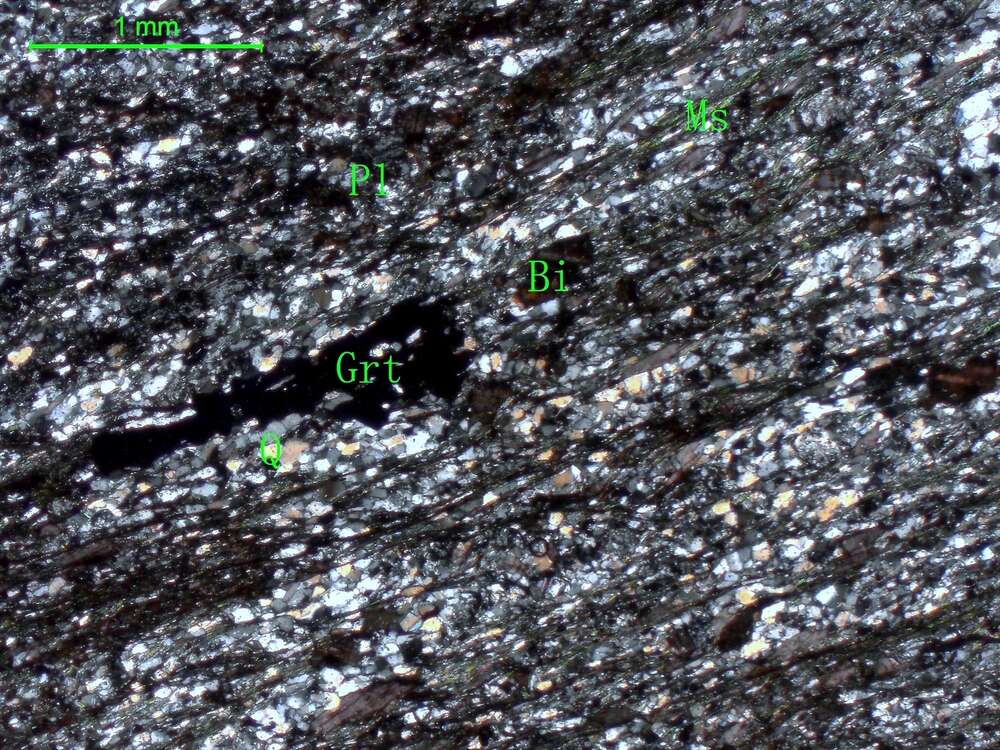 二云母斜长片麻岩