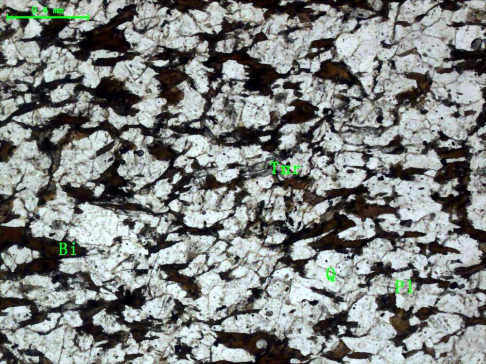 片理化蚀变细粒石英砂岩