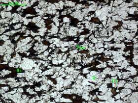 片理化蚀变细粒石英砂岩