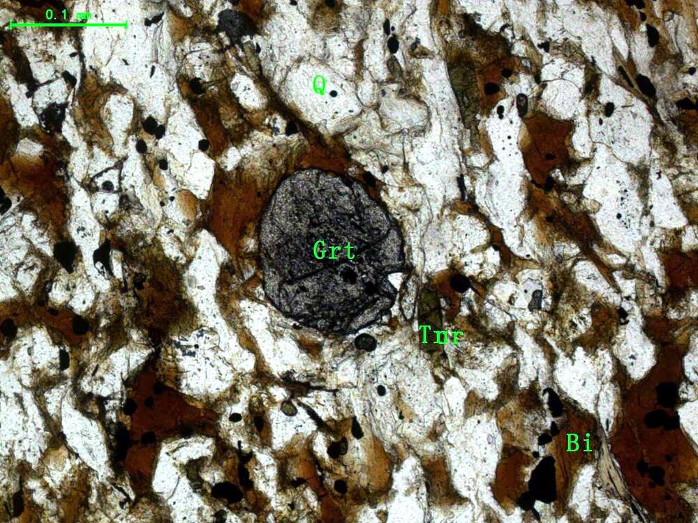 含电气石石榴石黑云母石英片岩