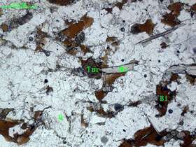 （片理化变质细中粒长石砂岩）含电气石黑云母石英片岩