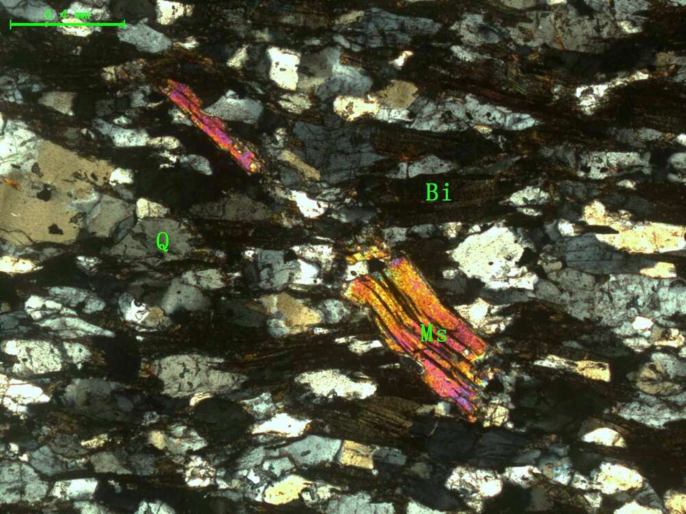 （片理化变质细中粒长石砂岩）含电气石黑云母石英片岩