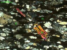 （片理化变质细中粒长石砂岩）含电气石黑云母石英片岩