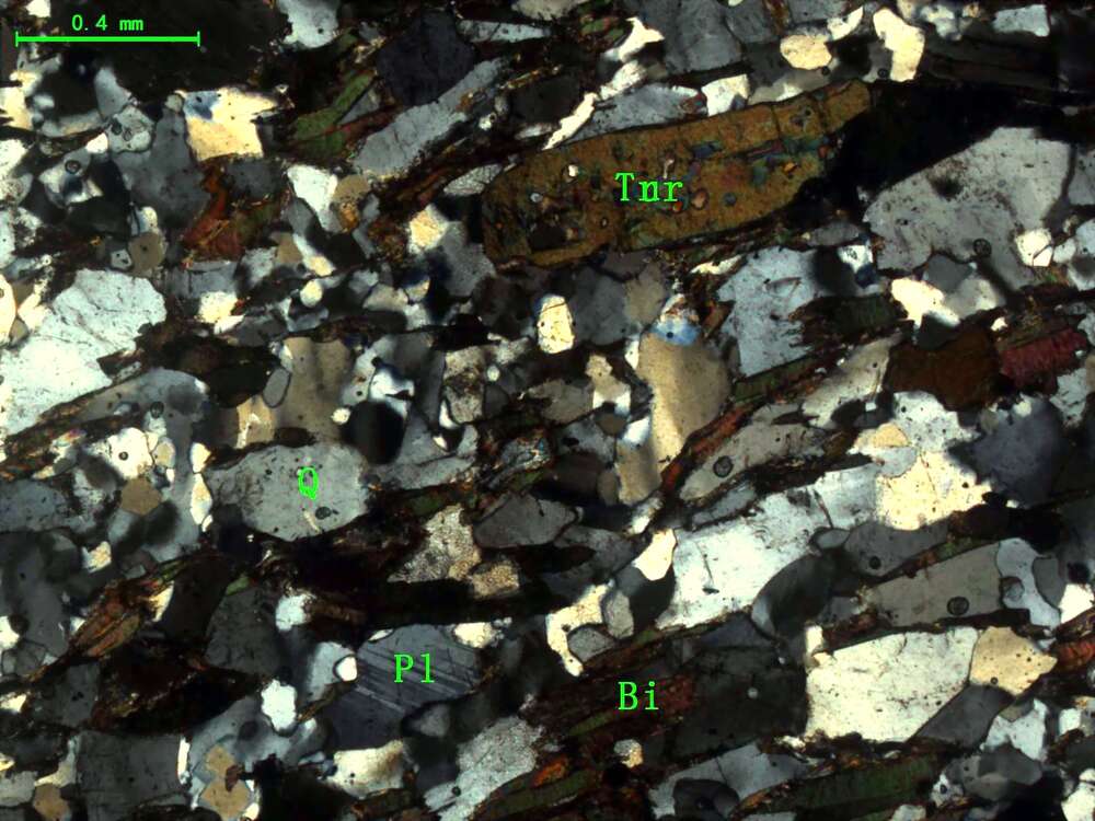 （片理化细粒长石砂岩）含电气石黑云母石英片岩