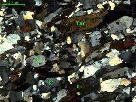 （片理化细粒长石砂岩）含电气石黑云母石英片岩