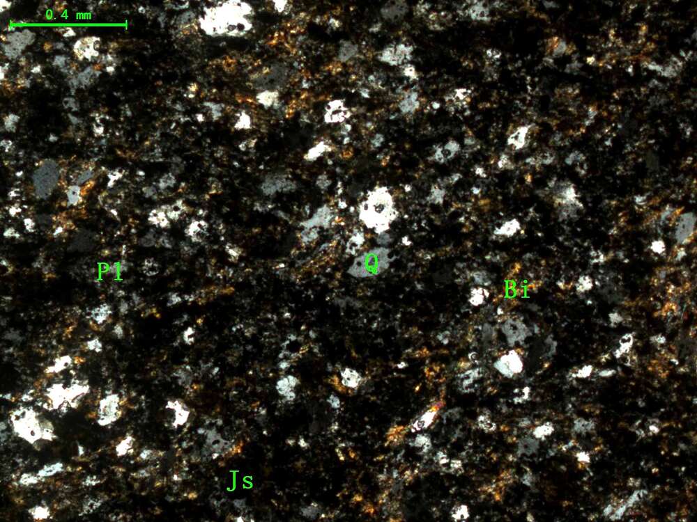（变质粉砂岩）黑云母石英片岩
