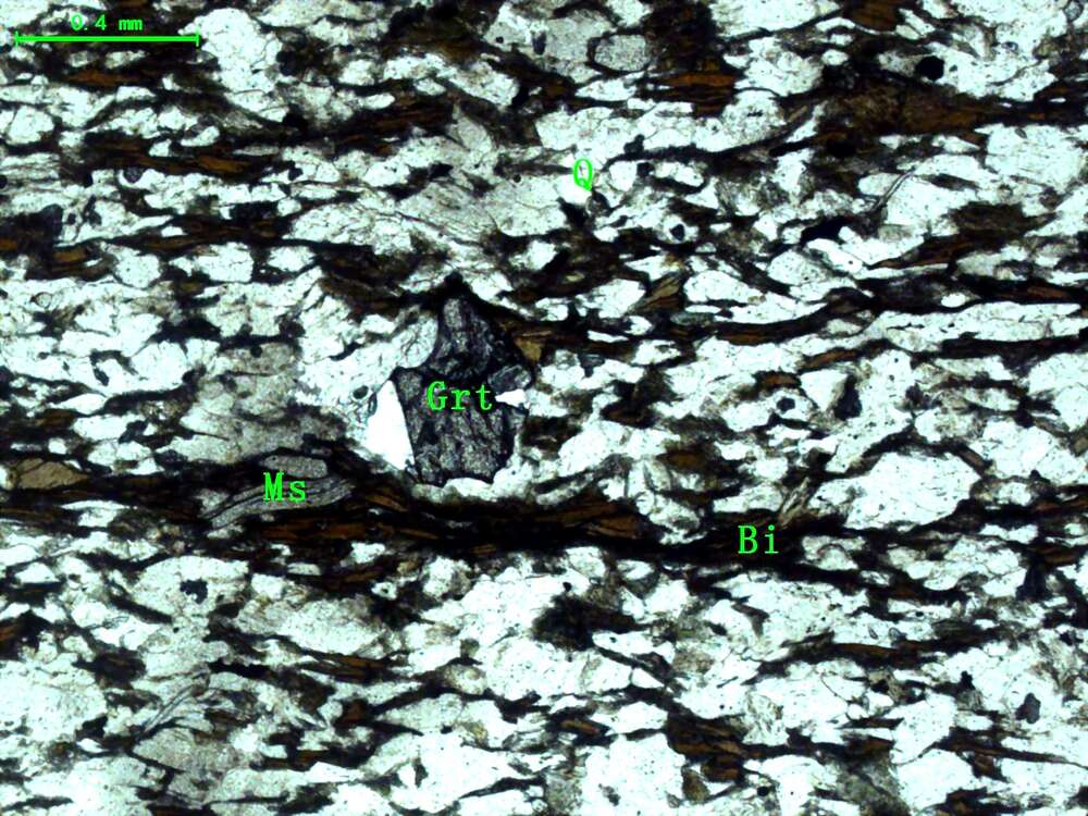 （变质细粒石英砂岩）含石榴石黑云母石英片岩