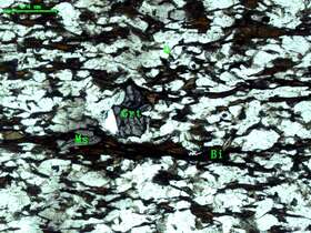 （变质细粒石英砂岩）含石榴石黑云母石英片岩