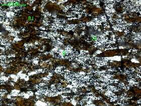 黑云母石英片岩