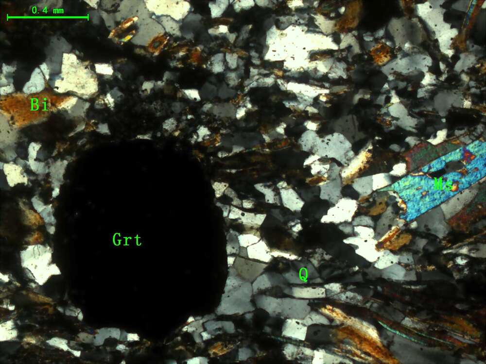 含石榴石黑云母石英片岩
