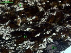 含石榴石黑云母石英片岩