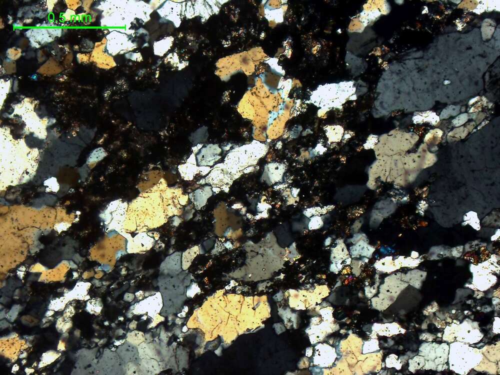 含绿帘石-石榴子石变粒岩