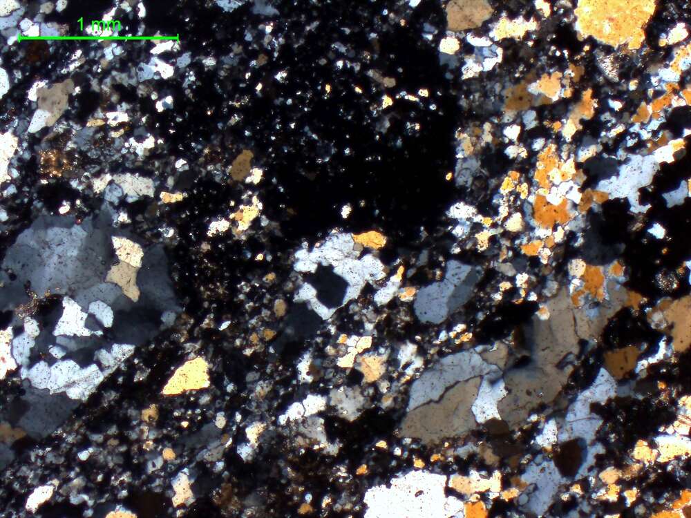 含绿帘石-石榴子石变粒岩