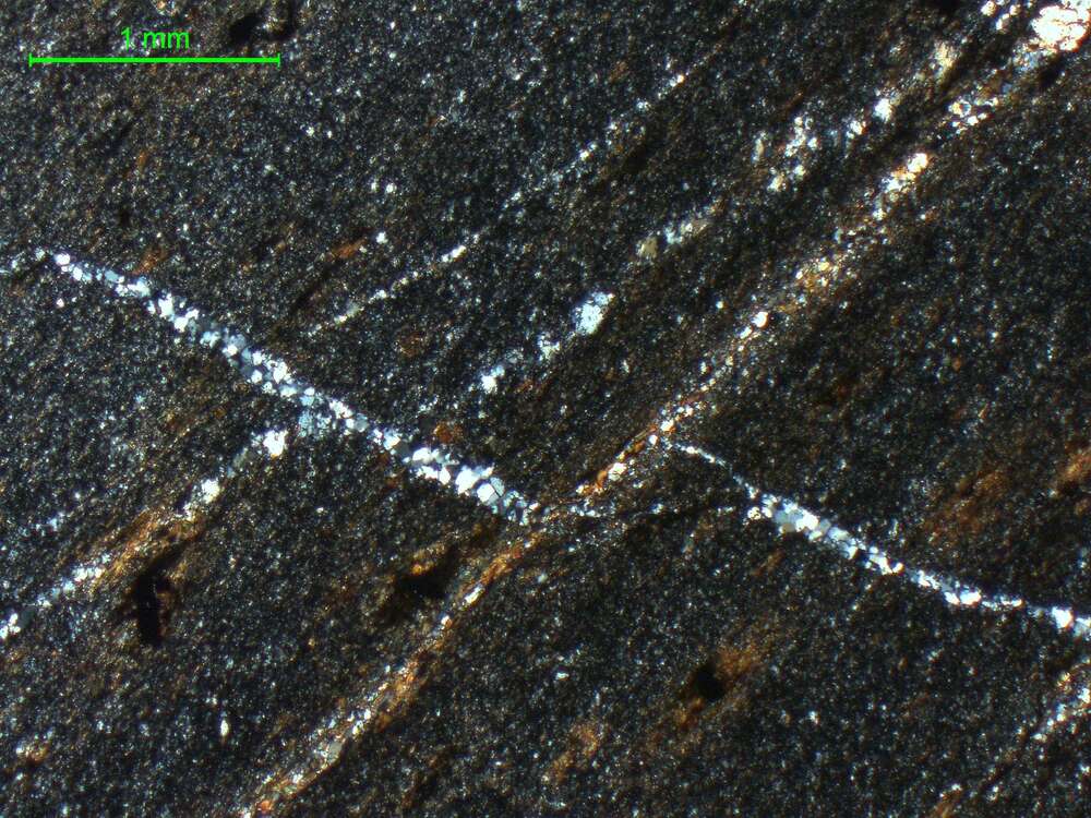 硅化粉砂质板岩