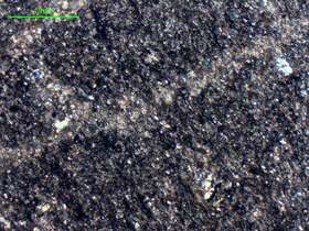 含砂屑、粉砂屑细晶灰岩