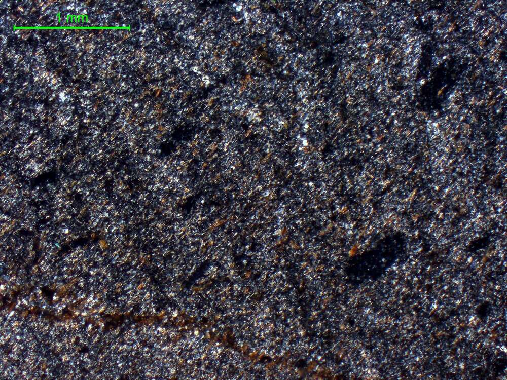 角岩化安山（英安）岩