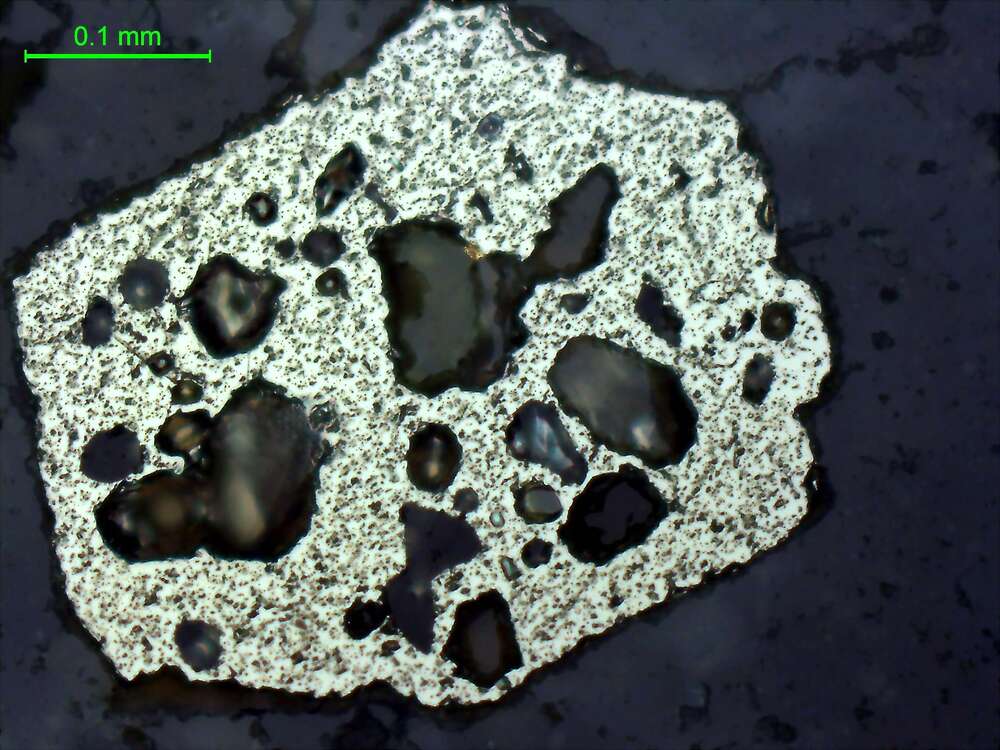 自然金、黄铁矿、褐铁矿