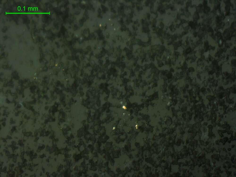 自然金？褐铁矿、黄铁矿