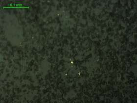 自然金？褐铁矿、黄铁矿