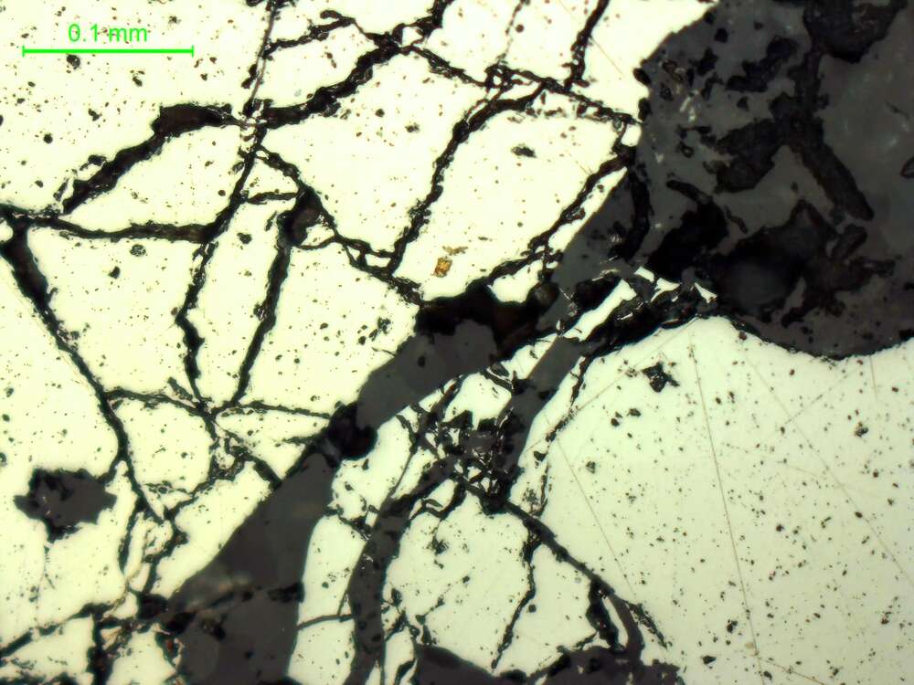 自然金、黄铜矿、毒砂、黄铁矿
