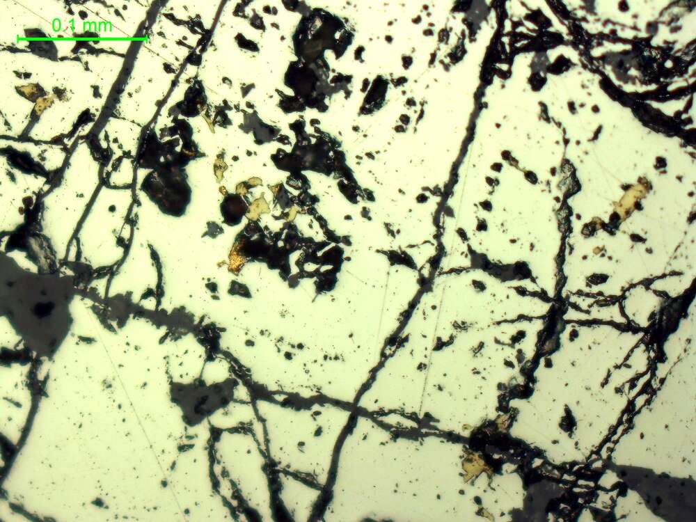 自然金、黄铜矿、毒砂、黄铁矿
