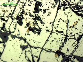 自然金、黄铜矿、毒砂、黄铁矿