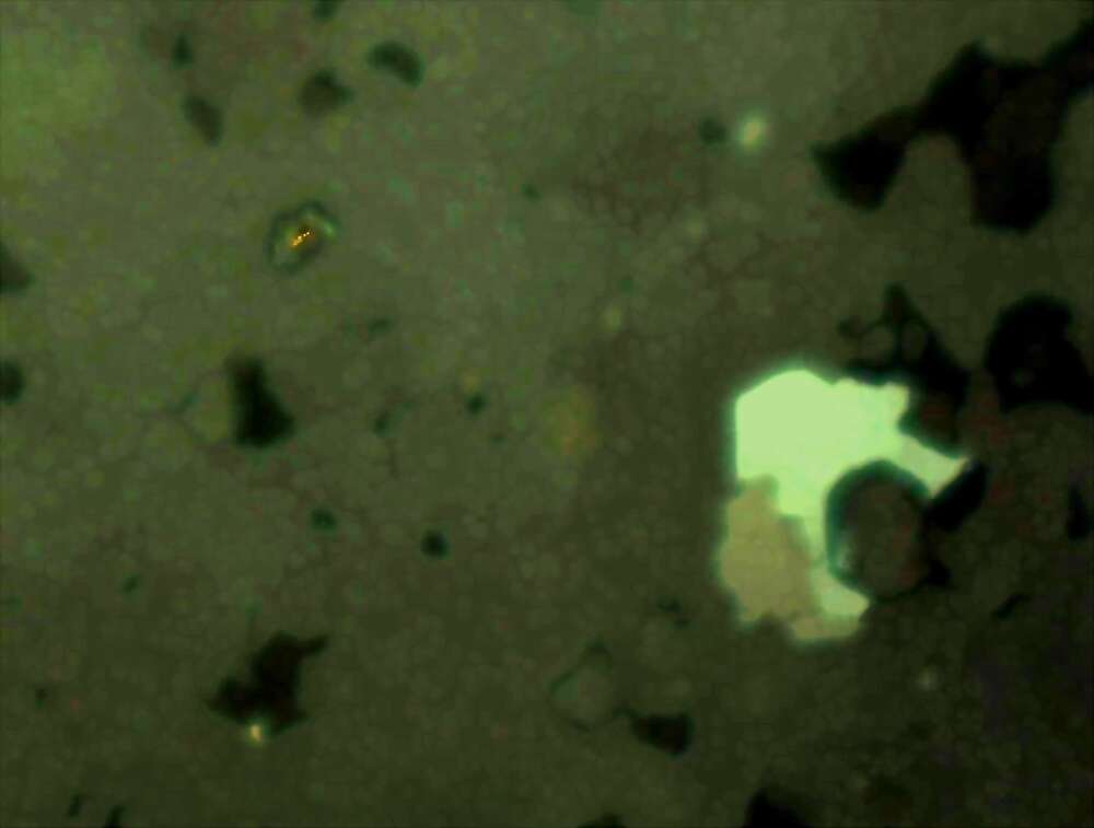 褐铁矿化黄铁矿、自然金？