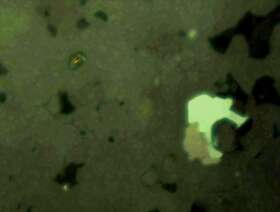 褐铁矿化黄铁矿、自然金？