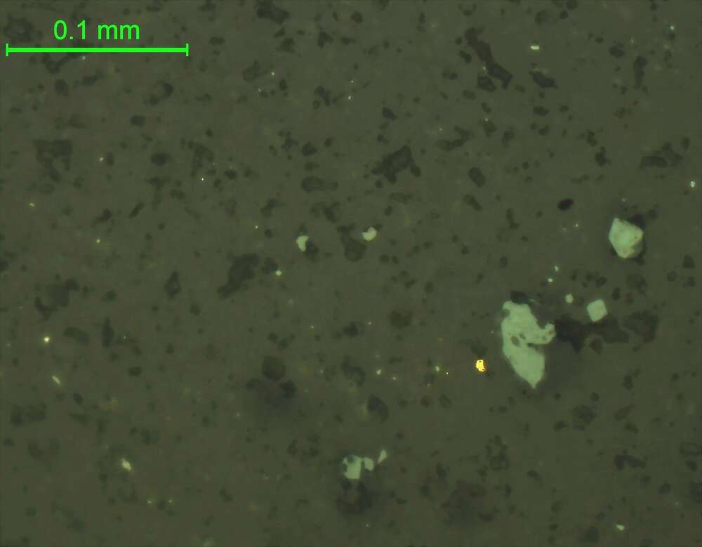褐铁矿化黄铁矿、黄铜矿、自然金