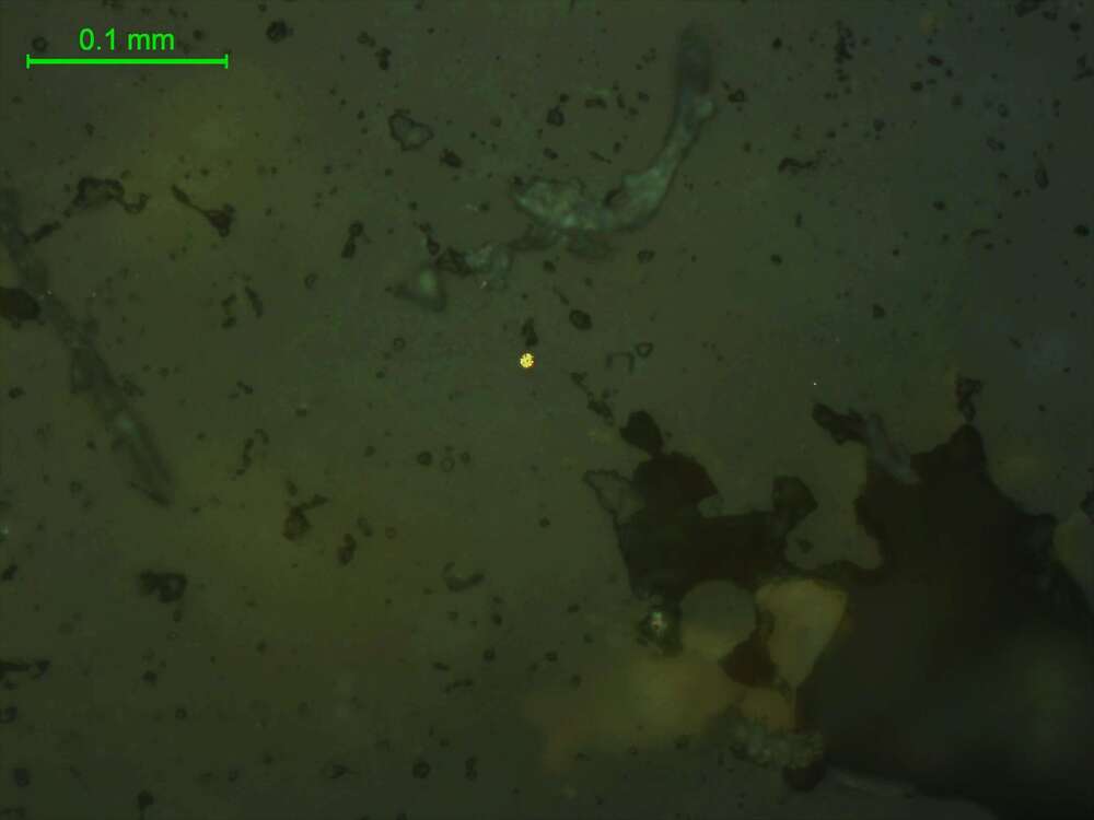 黄铁矿、自然金