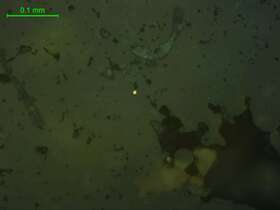 黄铁矿、自然金