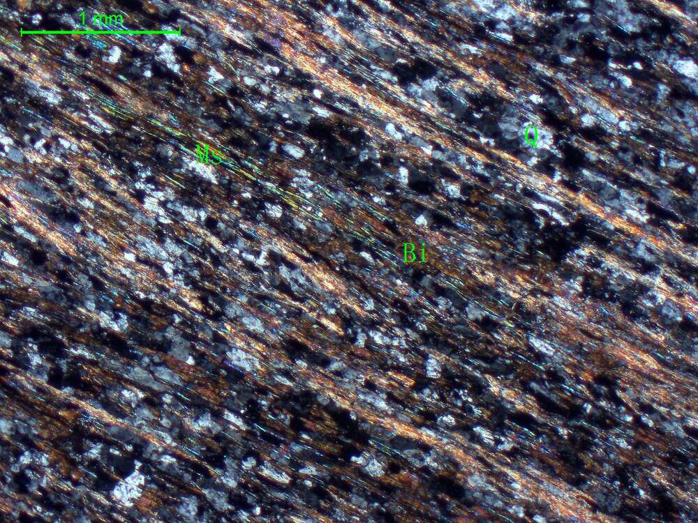 片理化二云母石英片岩