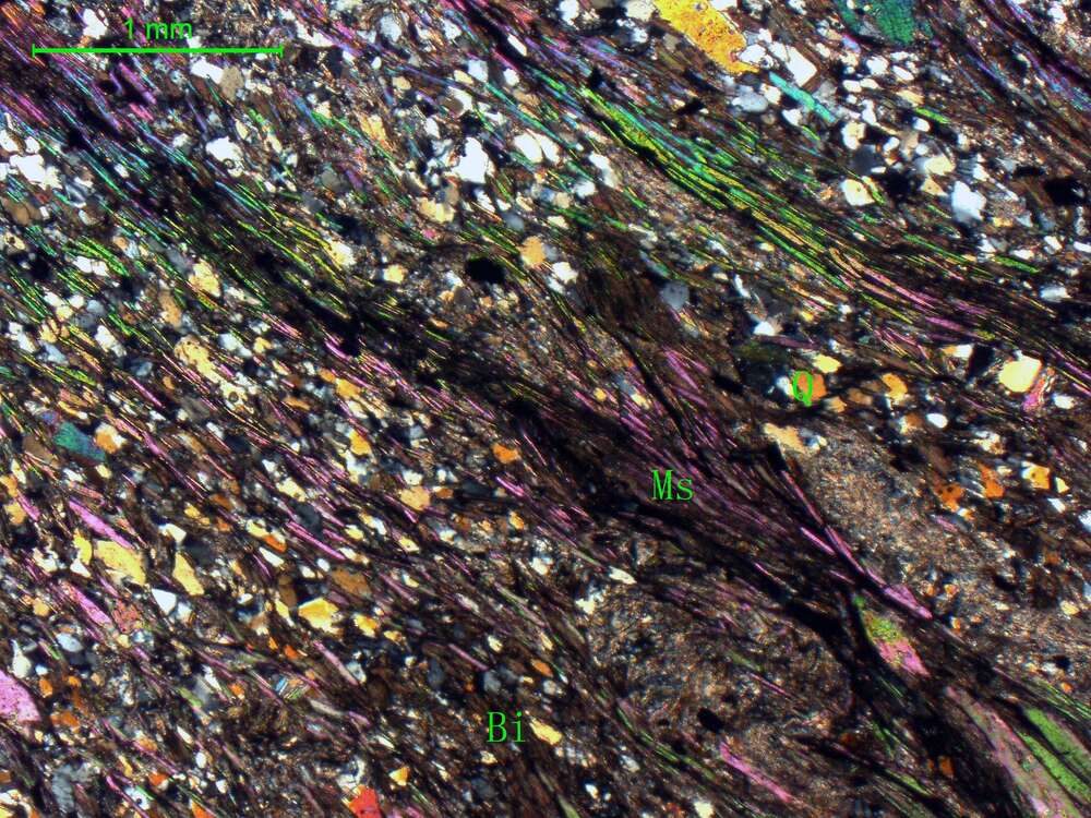 二云母石英片岩