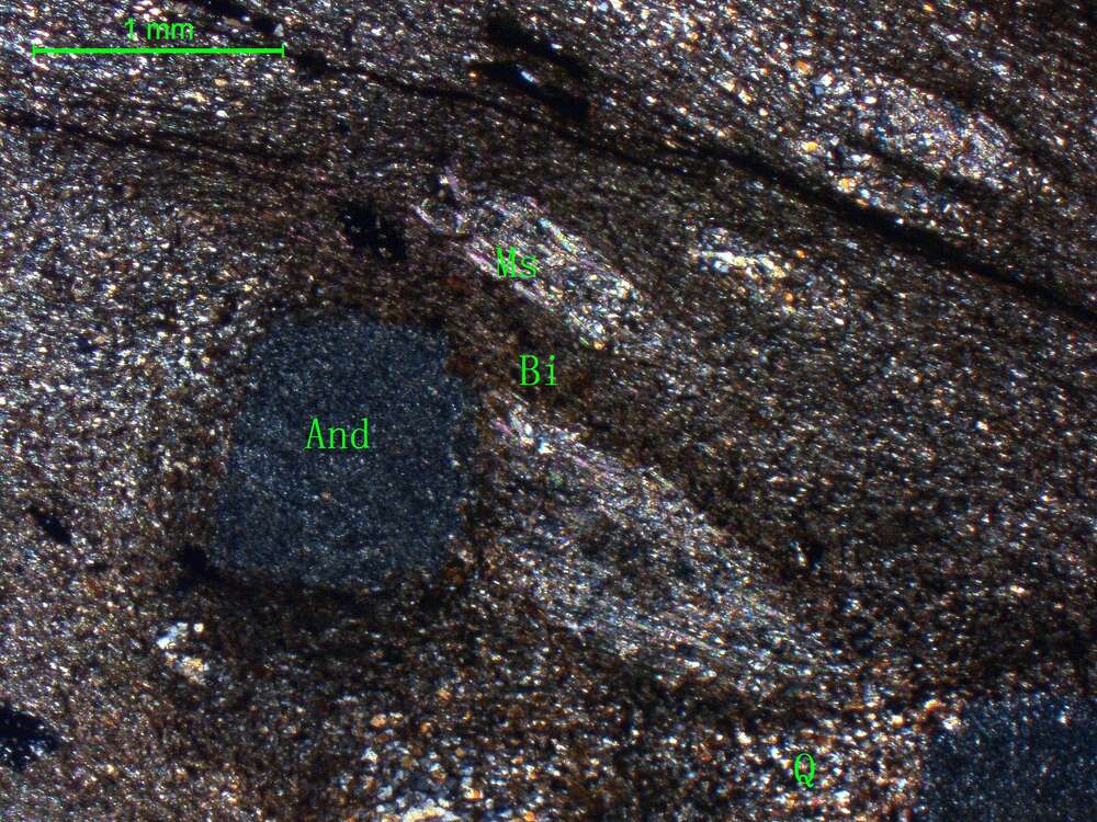 含红柱石二云母片岩