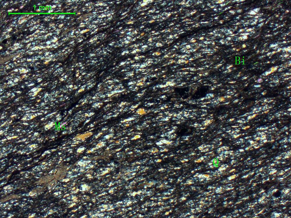 片理化二云母石英片岩