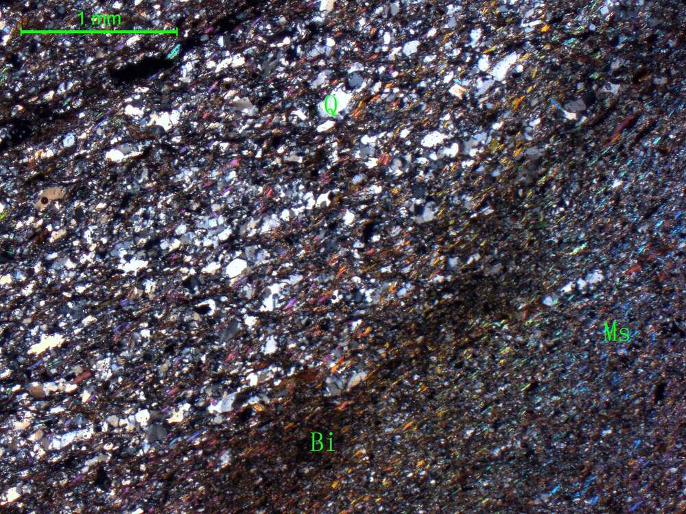 片理化二云母石英片岩