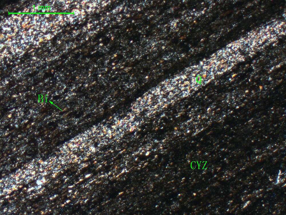 黑云母斜长片岩      