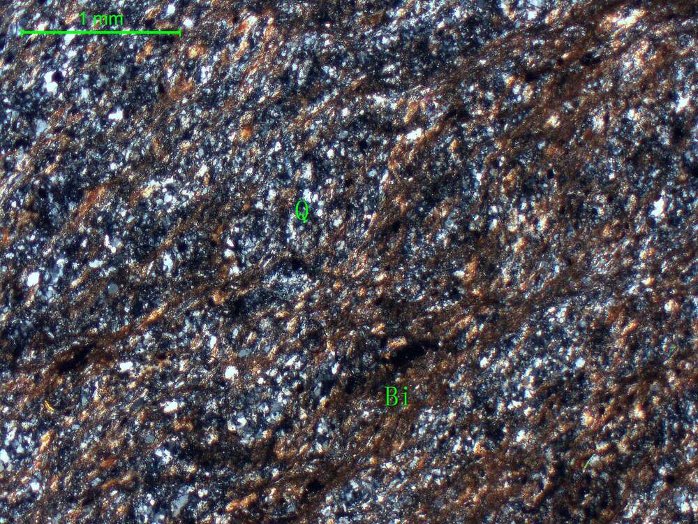 片理化黑云母石英片岩