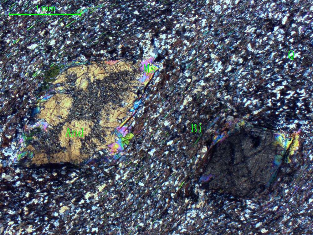 含红柱石斜长二云母石英片岩