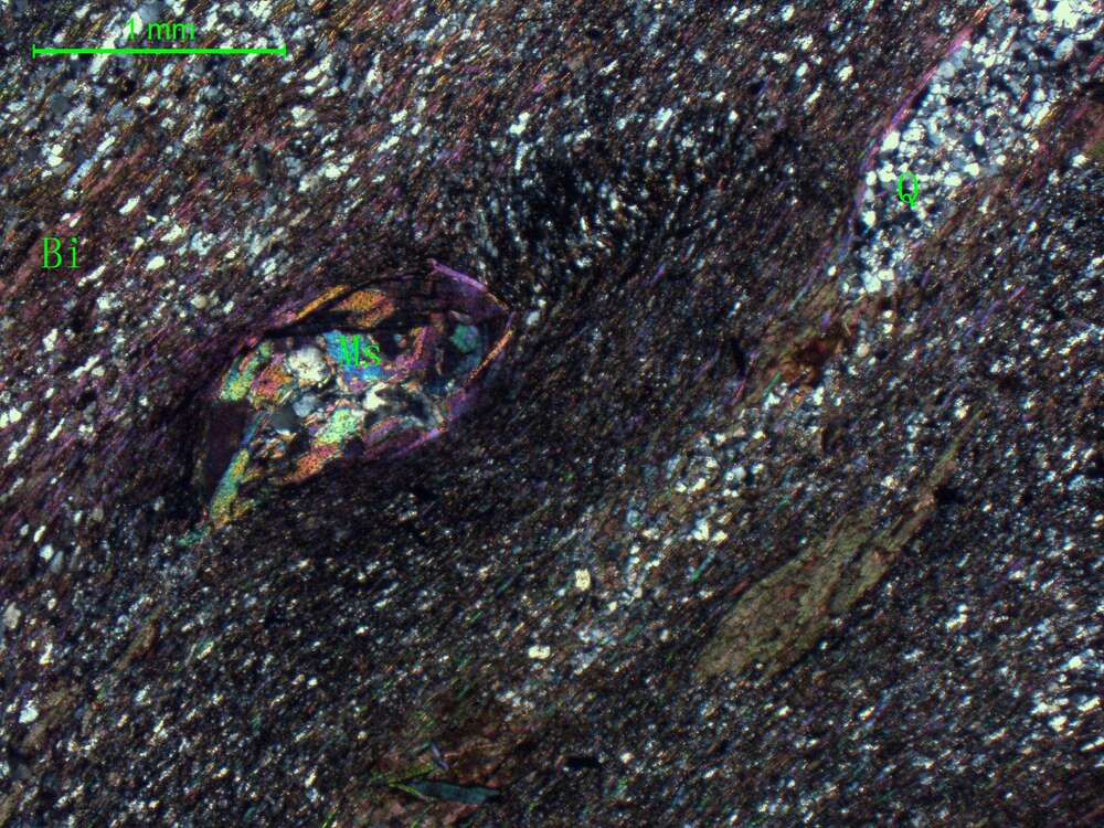 黑云母石英片岩