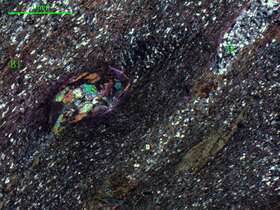 黑云母石英片岩