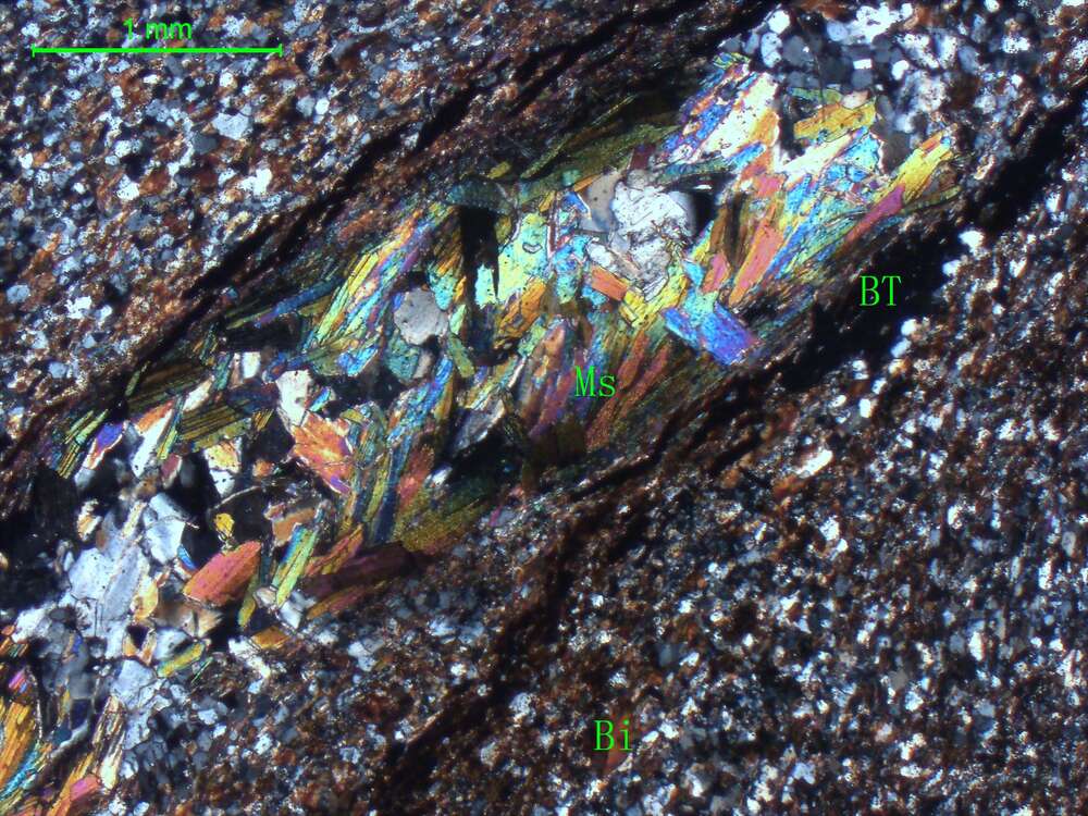 黑云母石英片岩