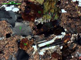 弱片麻岩化细粒石英黑云母闪长岩